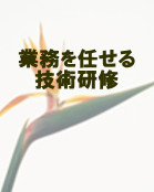 ���i�C���[�W